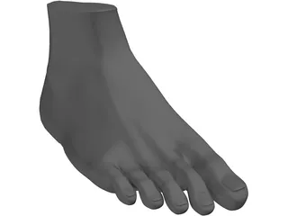 Foot 3D Model