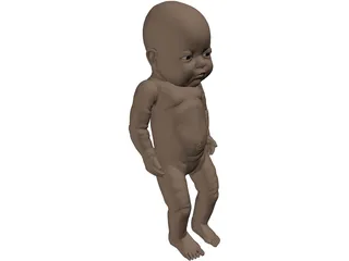 Newborn Baby 3D Model