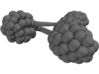 Alveoli 3D Model