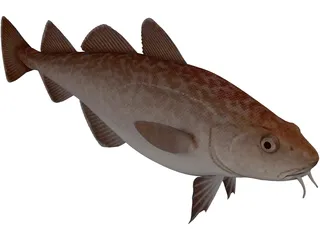 Pacific Cod 3D Model