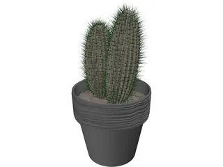 Cactus 3D Model