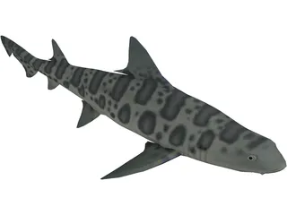 Leopard Shark 3D Model