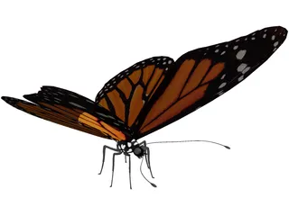 Butterfly 3D Model