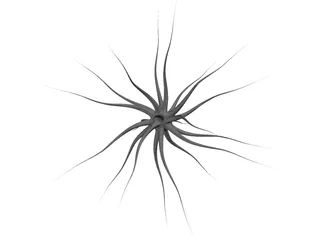 Neuron 3D Model