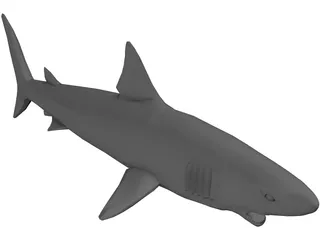 Shark Great White 3D Model