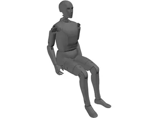 Crash Dummy 3D Model