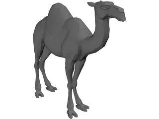 Camel 3D Model