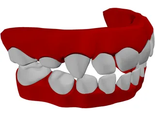 Teeth Childs 3D Model