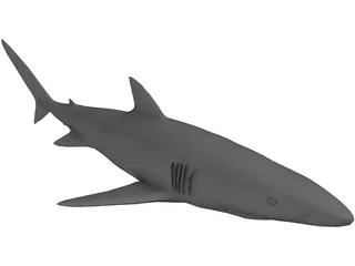 Blue Shark 3D Model