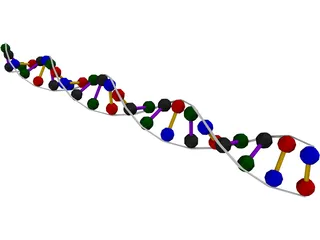 DNA Strand 3D Model