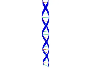 DNA Strand 3D Model