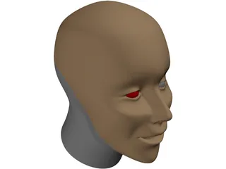 Head Human 3D Model