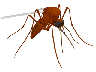 Mosquito 3D Model