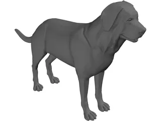 Dog 3D Model