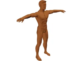 Man 3D Model