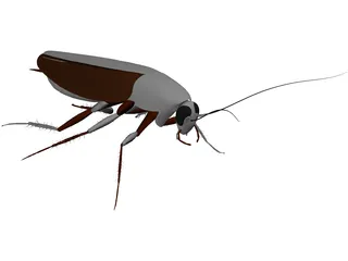 Cockroach 3D Model