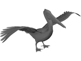 Pelican 3D Model