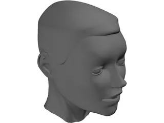 Head 3D Model