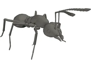 Ant 3D Model