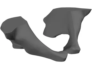 Pelvis 3D Model