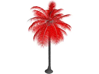 Palm Tree 3D Model