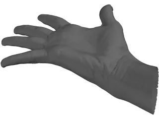 Open Hand 3D Model