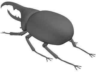 Hercules Beetle 3D Model