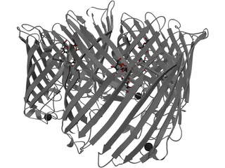 Protein 3D Model