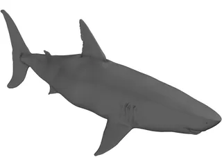 White Shark 3D Model