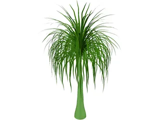 Palmera 3D Model