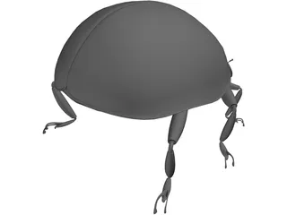 Ladybug 3D Model