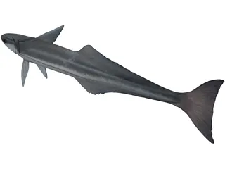 Remora 3D Model