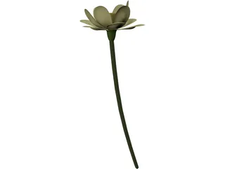 Lotus Flower (Nelumbo Lutea) 3D Model