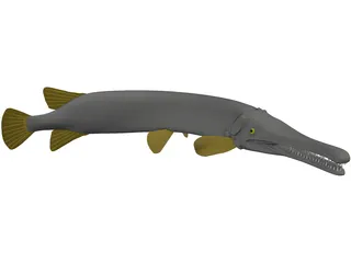 Alligator Gar (Atractosteus Spatula) 3D Model