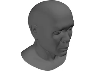 Samuel Head 3D Model