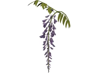 Wisteria Flower Japanese 3D Model