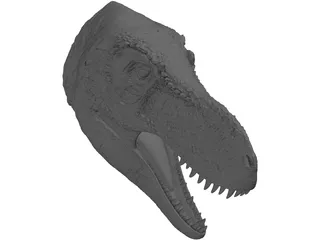 Tyrannosaurus Rex Head 3D Model