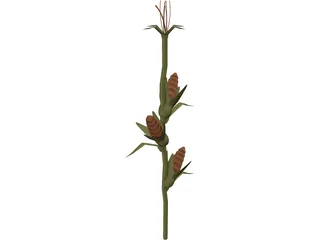 Corn Stalk 3D Model