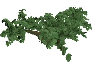 Tree 3D Model