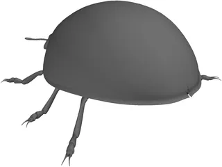 Ladybird 3D Model