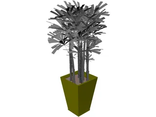 K-VG Rhapis B 3D Model