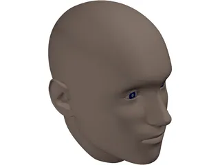 Human Head 3D Model