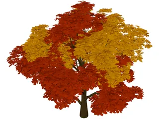 Chestnut Tree 3D Model