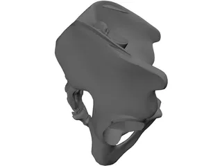 Pelvis and Sacrum 3D Model