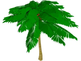 Palm Tree 3D Model