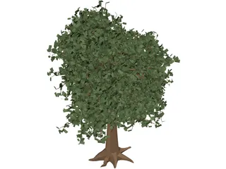 Oak Tree 3D Model