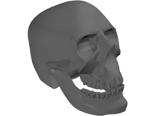 Skull Hell 3D Model