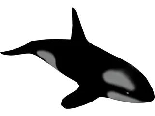 Orca 3D Model