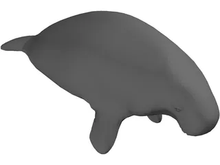 Manatee 3D Model