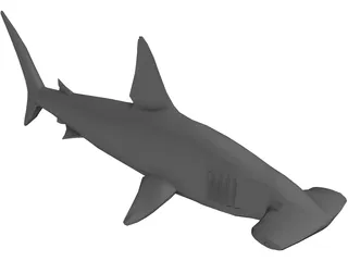 Shark 3D Model